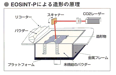 EOSINT-P̑`̌