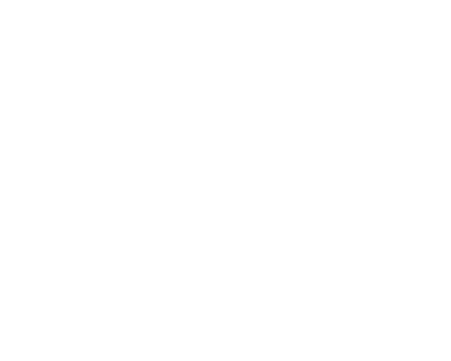 Your Innovation Partner